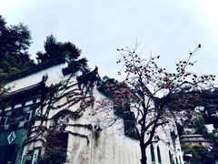 -篁岭景区