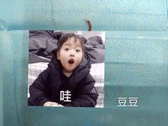 -芭比堂动物医院·心脏专科·夜诊·吉雅分院