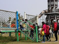 -上海长兴岛郊野公园