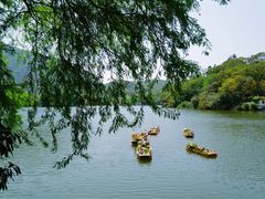 -深圳仙湖植物园