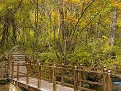 -叠溪松坪沟景区
