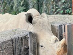 -杭州野生动物世界