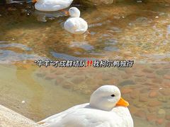 -珠海海泉湾神秘岛亲子乐园