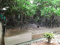 -中国湿地博物馆