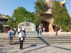 -大槐树寻根祭祖园
