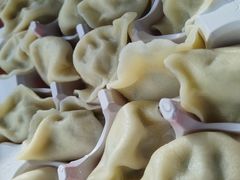 肉三鲜水饺-那家老院子东北菜·饺子·小鸡炖蘑菇(艳华街店)