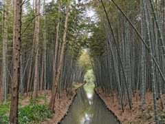 -同里国家湿地公园