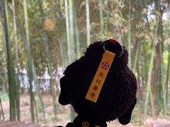 -西安大兴善寺