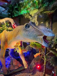 -恐龙探索乐园(磁器口店)