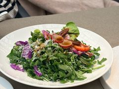 芝麻菜沙拉-花家怡园(四合院总店)