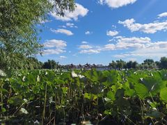 -长春市南湖公园