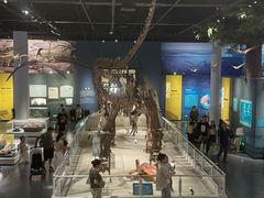 -国家自然博物馆