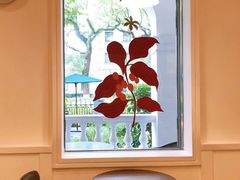 用餐区-星巴克臻选(广州沙面店)