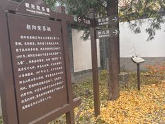 -阳台山自然风景区