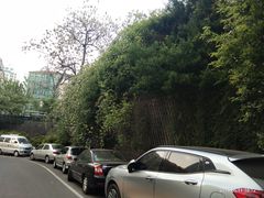-丁丁猫重庆小面(徐州路店)