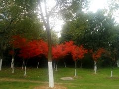 -艾溪湖湿地公园