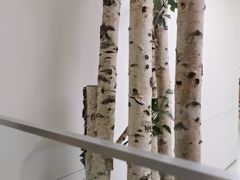 -极简口腔(总院)