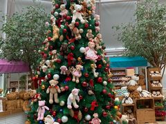 -济州岛泰迪熊博物馆