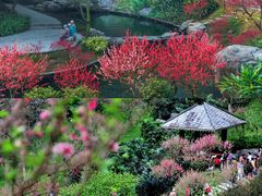 -桃花涧