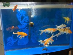 -足来足往养生会所