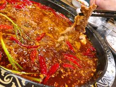 -小志家.鲜牦牛肉牛杂火锅野生菌汤锅