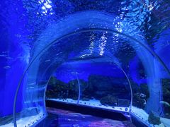 -顺德南宏海立方海洋公园
