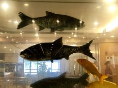 -北大荒淡水鱼馆(秀水广场店)