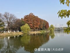 -月湖风景区