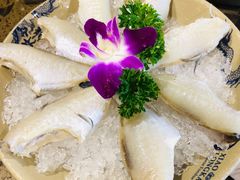 耗儿鱼-小龙坎火锅(沙井店)