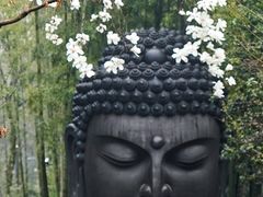-杭州植物园