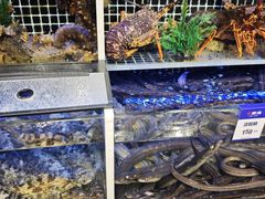 -开海·红岛海鲜虾水饺(石老人店)