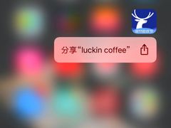 -瑞幸咖啡(巴黎春天陕西路店)