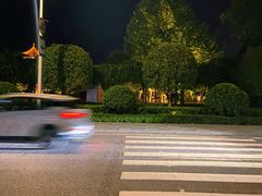 -成都安仁福朋喜来登酒店