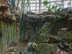 -北京动物园