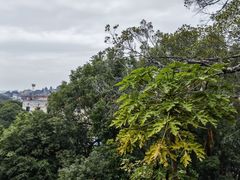 -船政文化景区-罗星塔公园