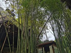 -竹海听涛生态山庄