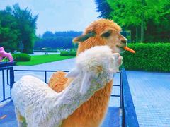 -北京野生动物园