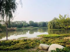 -西安浐灞国家湿地公园
