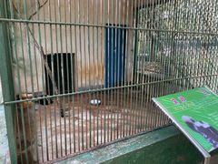 -广东茂名森林公园