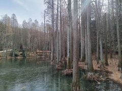 -波尔登森林公园