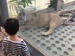 -西安秦岭野生动物园