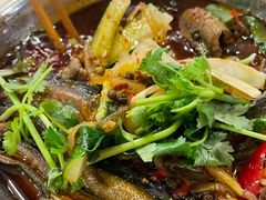 -高坎一品甲鱼庄(两河店)