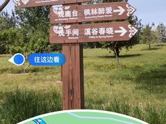 -南海子公园