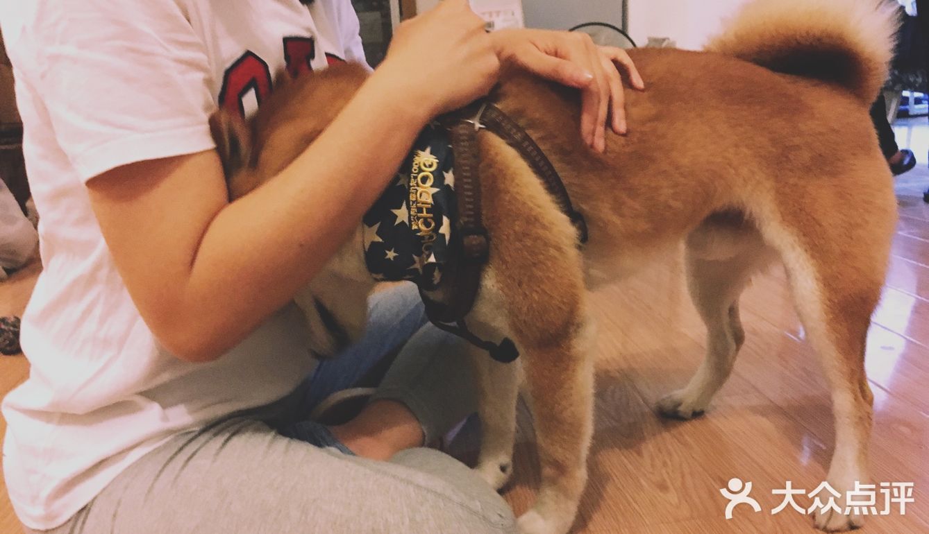 想吃芋圆不巧家里什么材料都有，不就是糖水吗