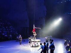 -重庆国际马戏城