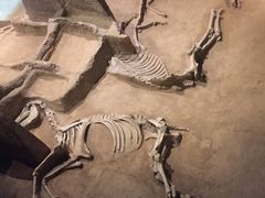 -洛阳周王城天子驾六博物馆