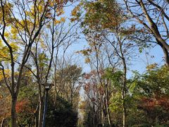 -长广溪湿地公园