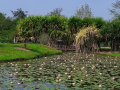 -中国科学院西双版纳热带植物园