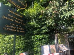 -Fern Forest Cafe