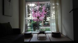 -榕树上·瑜伽普拉提